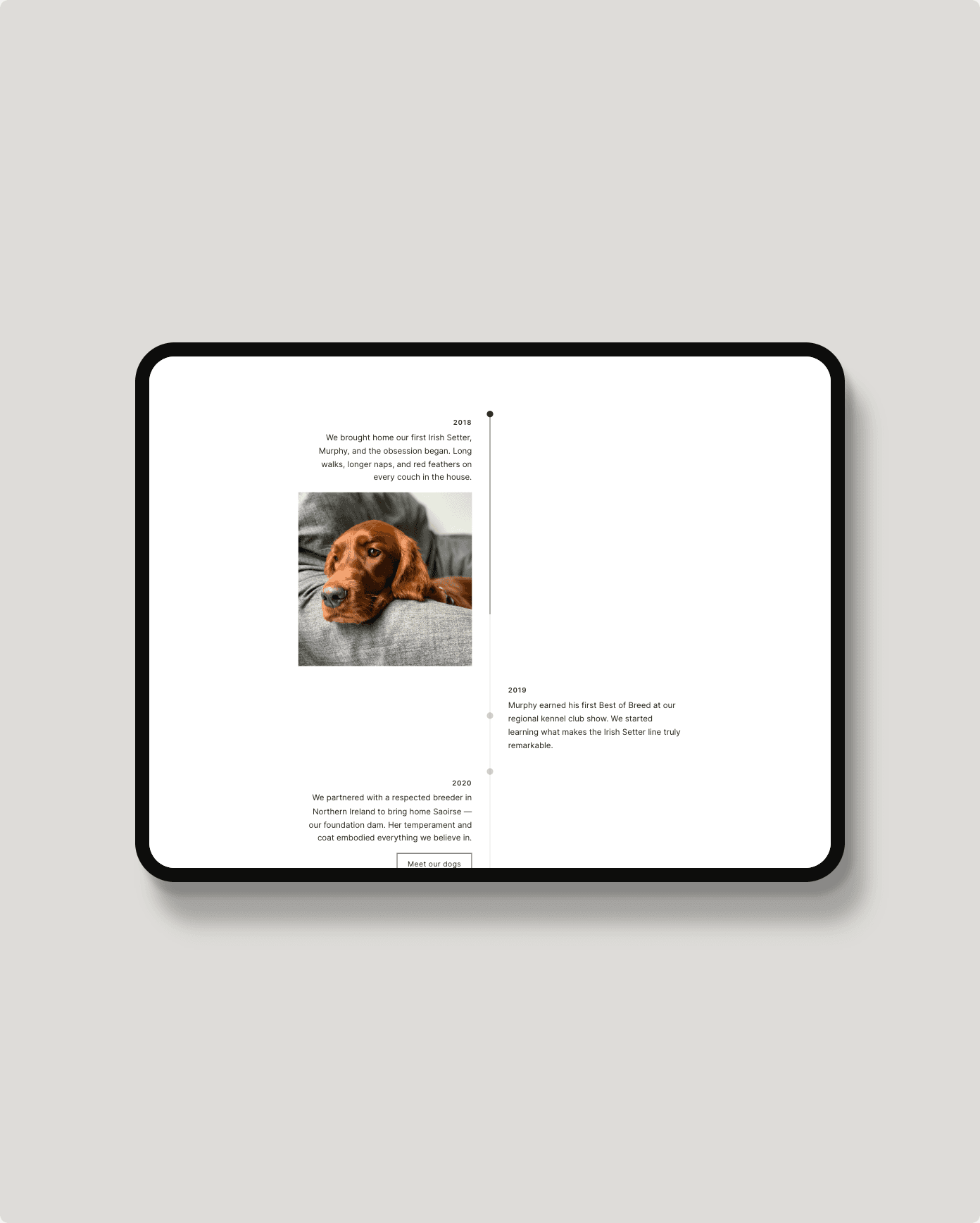 Vertical Timeline plugin for Squarespace — alternating layout in light mode, shown on an iPad mockup