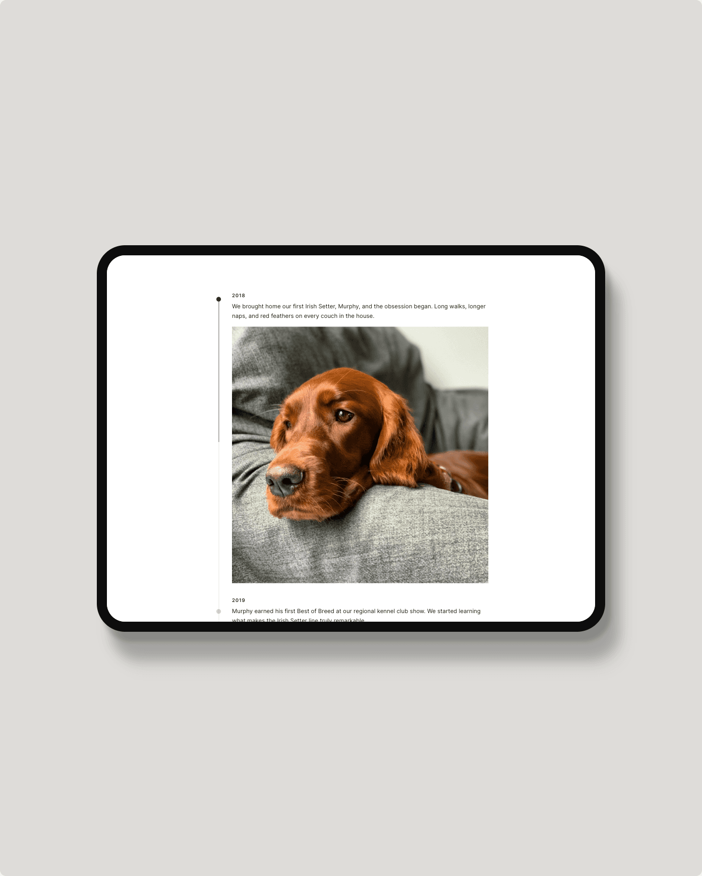 Vertical Timeline plugin for Squarespace – classic rail layout in light mode, shown on an iPad mockup