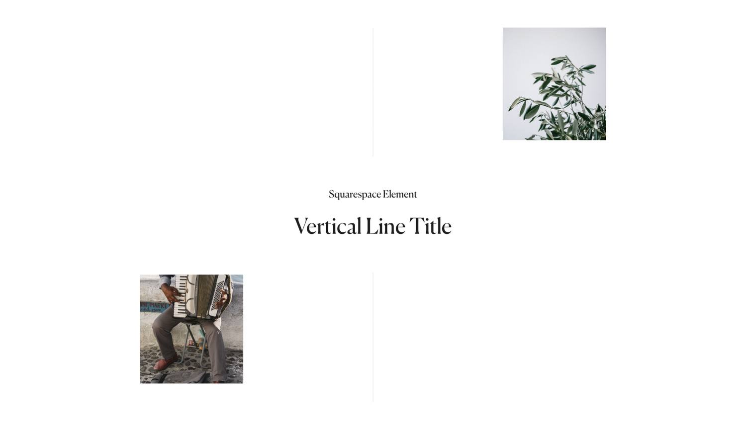 Vertical Line Title free plugin for Squarespace