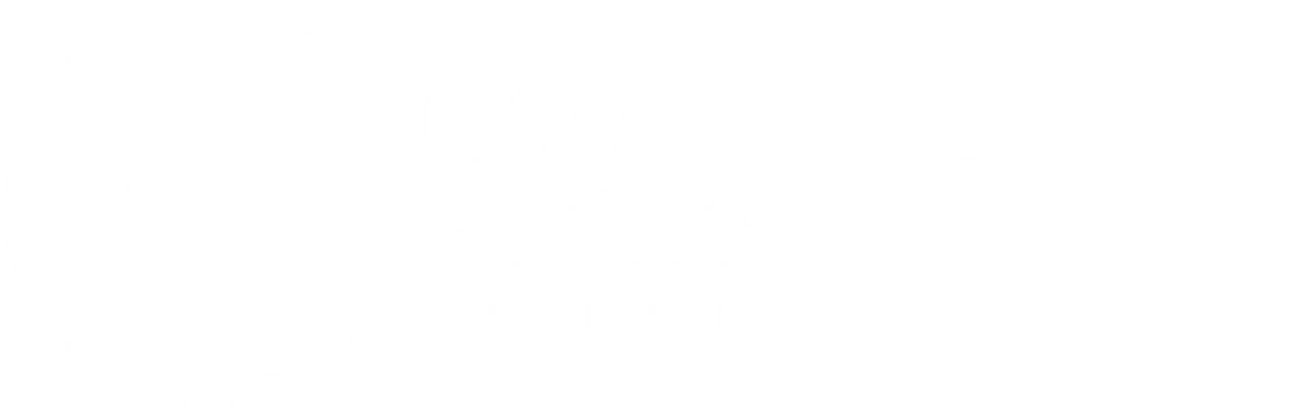 Squarespace Circle Gold Partner